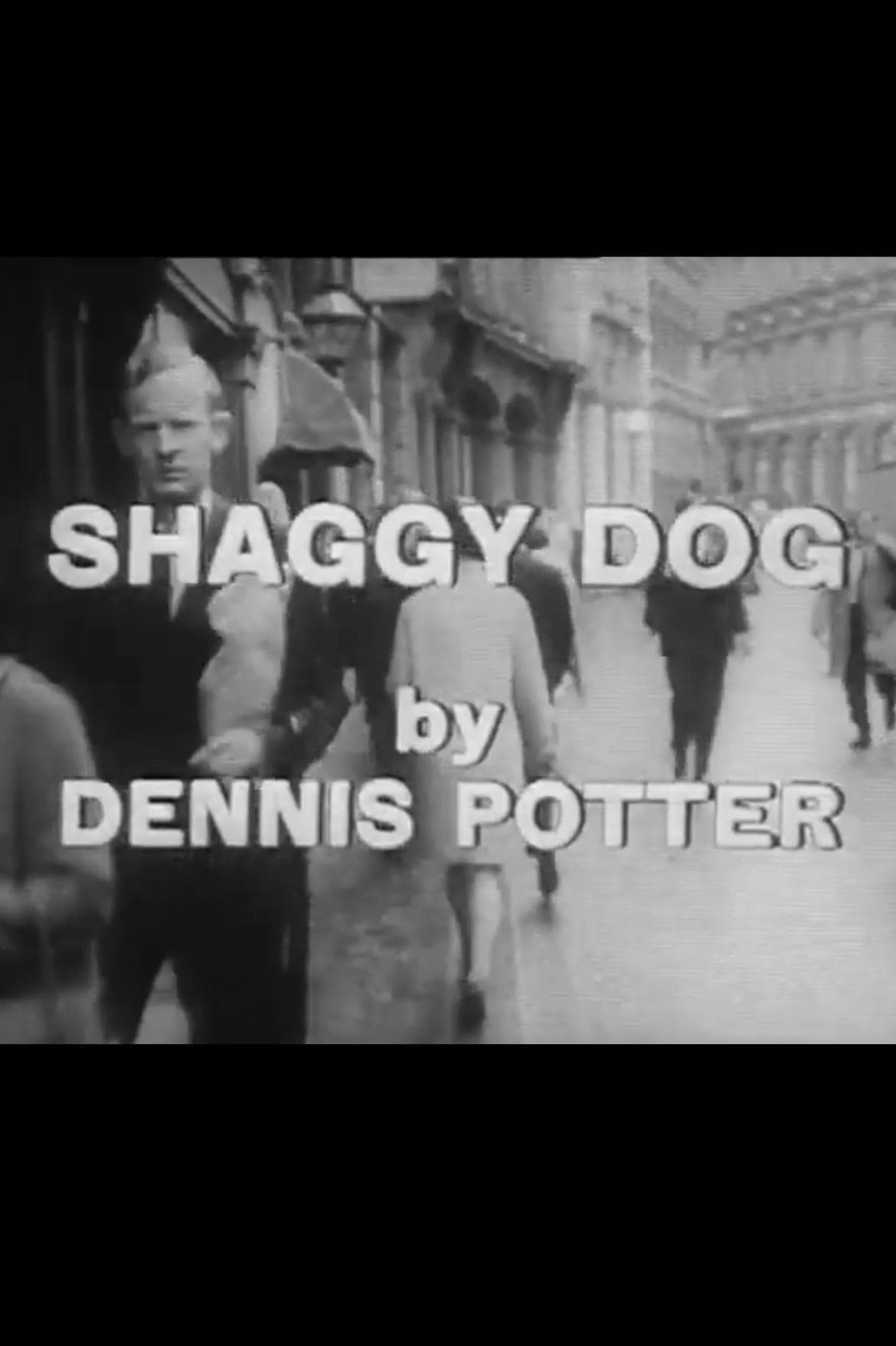 Shaggy Dog backdrop