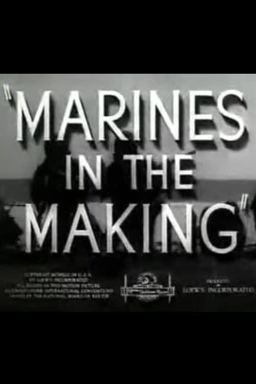 Marines in the Making backdrop