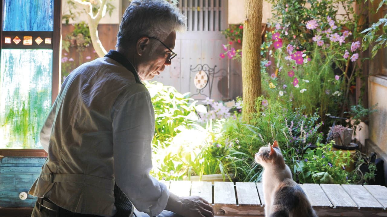 Teacher and Stray Cat backdrop