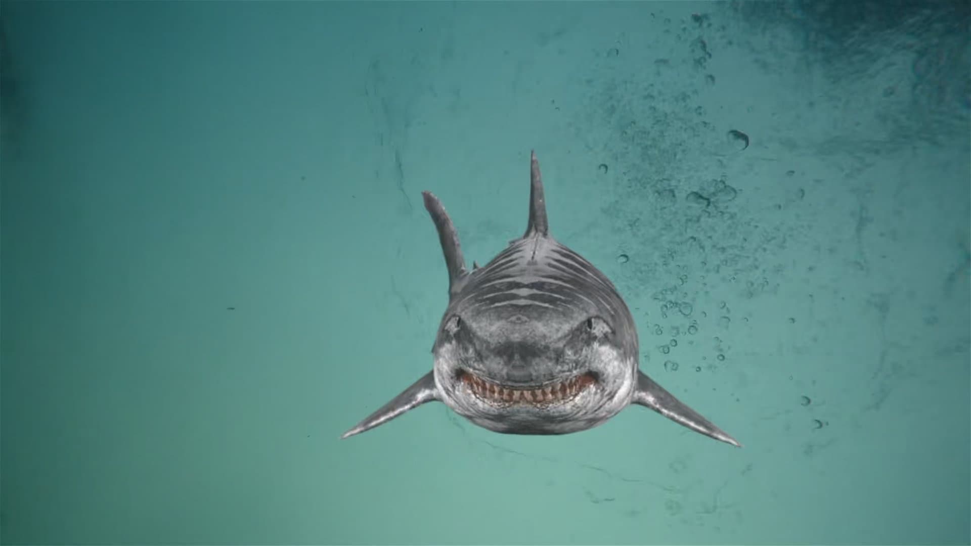 Jurassic Shark 2: Aquapocalypse backdrop