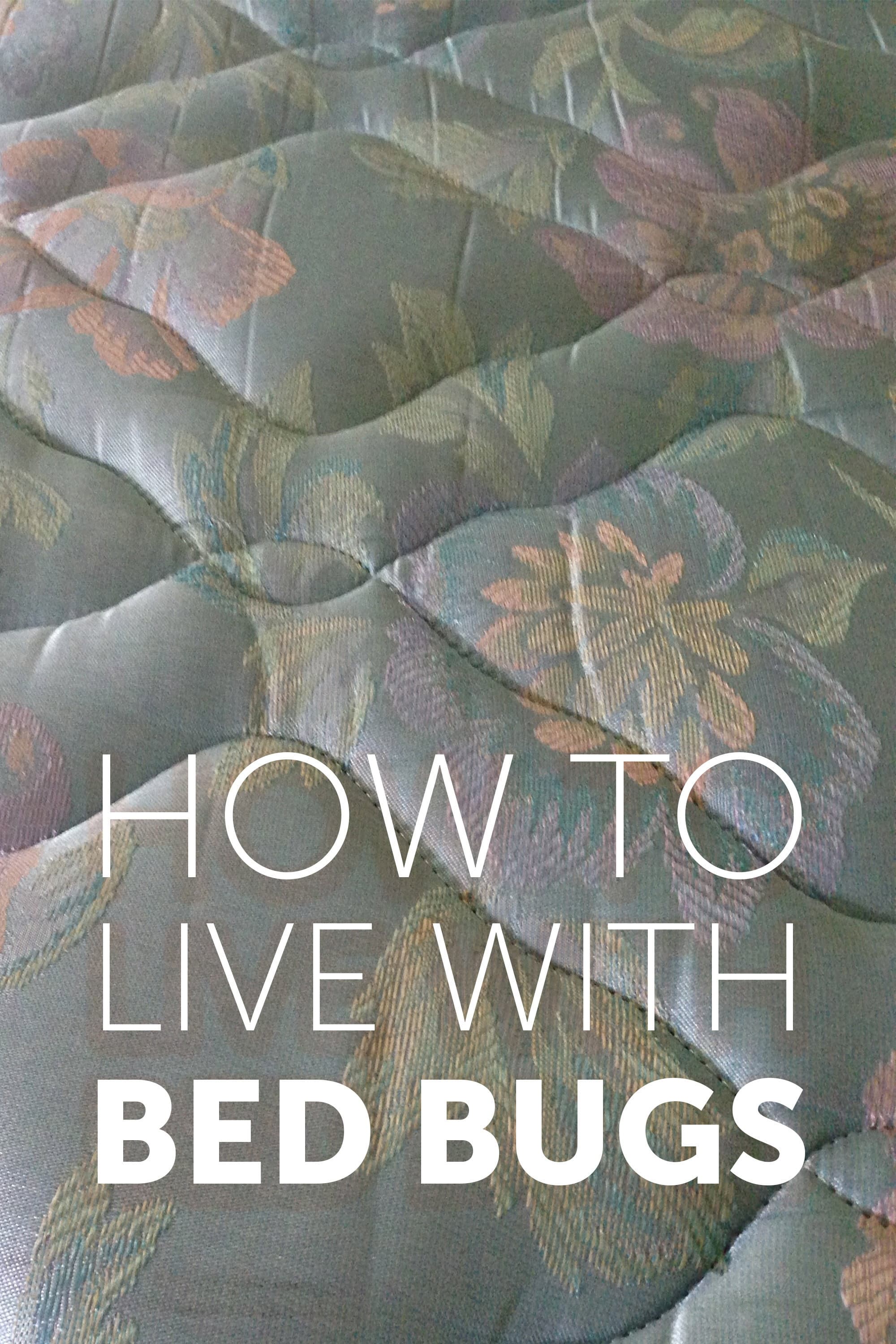 How to Live with Bed Bugs backdrop