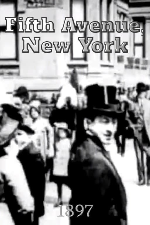 Fifth Avenue, New York backdrop