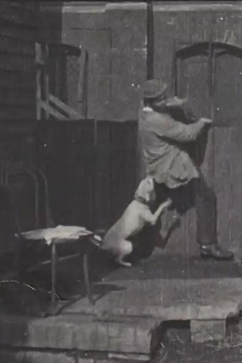 The Tramp and the Dog backdrop