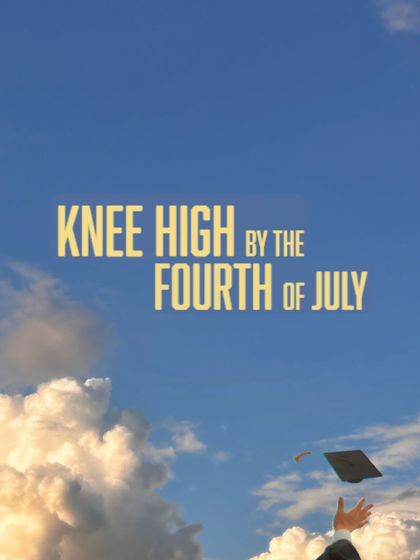 Knee High By the Fourth of July backdrop