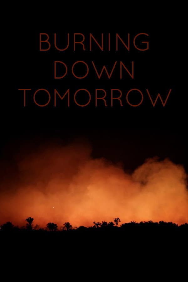 Burning Down Tomorrow backdrop