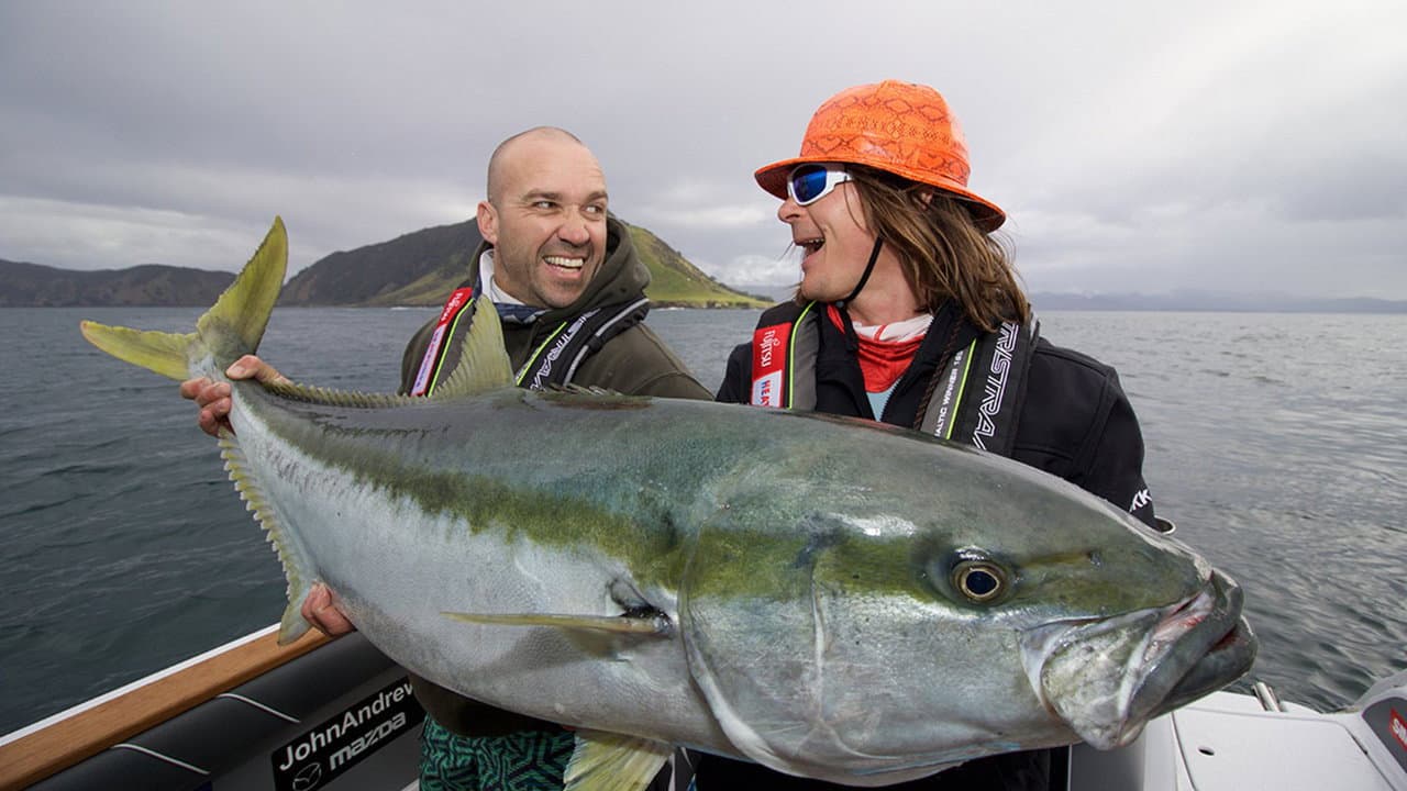 Big Angry Fish backdrop