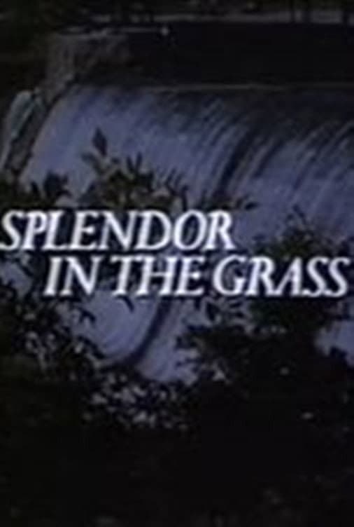 Splendor in the Grass backdrop