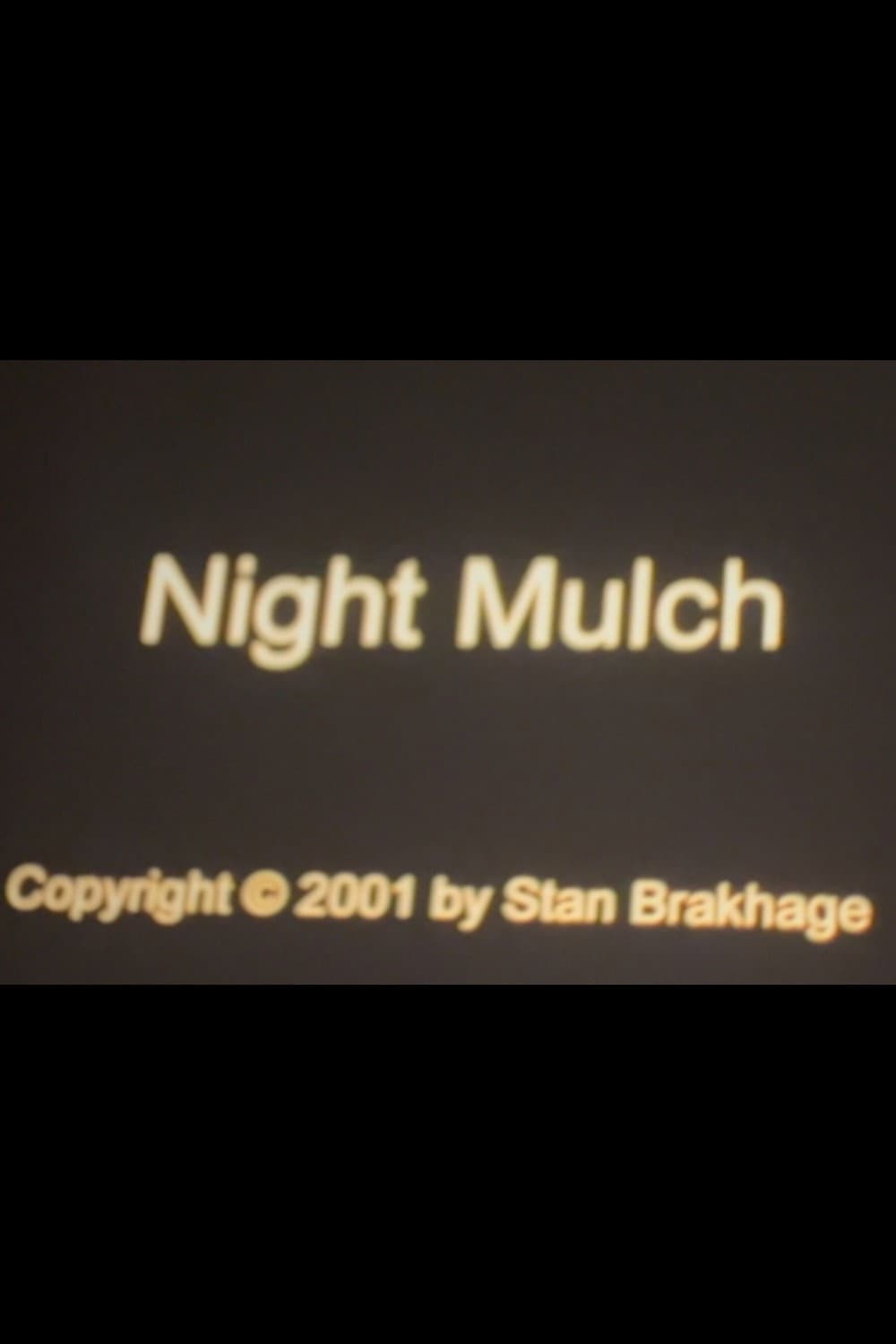 Night Mulch backdrop