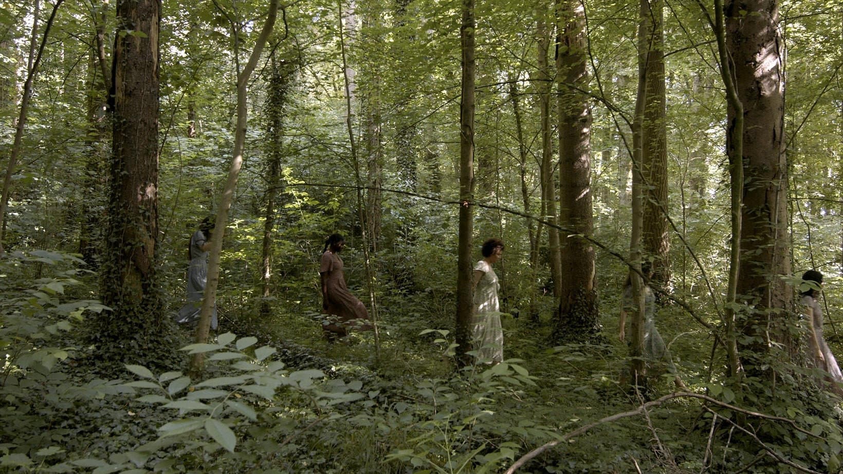 The Melusinas at the Edge of the River backdrop