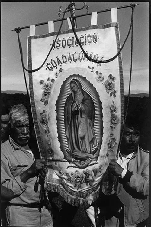 A Long Journey to Guadalupe backdrop