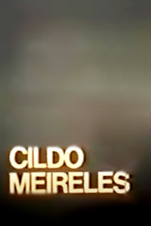 Cildo Meireles backdrop