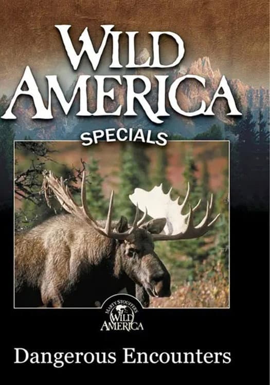 Wild America - Dangerous Encounters backdrop