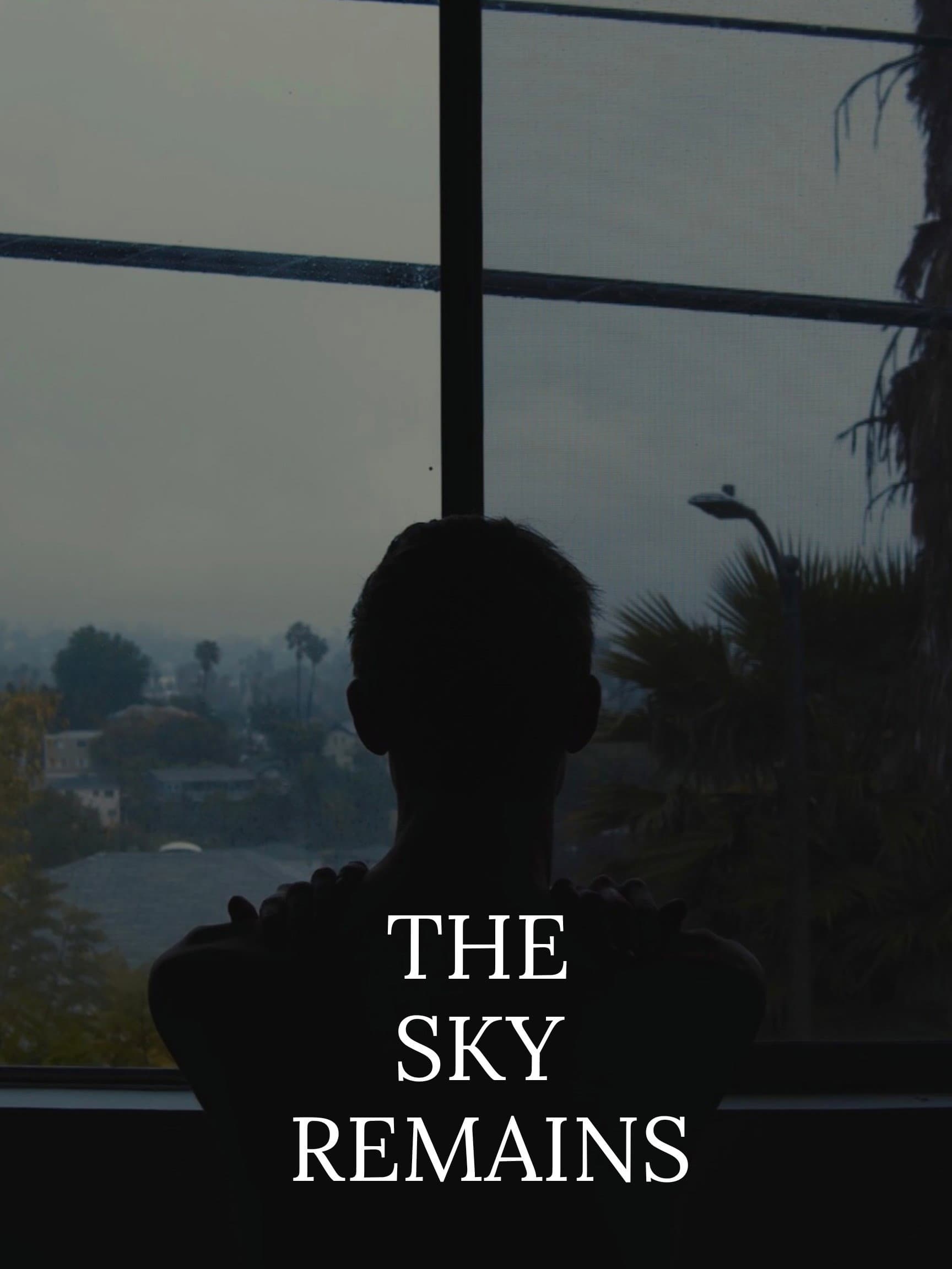 The Sky Remains backdrop