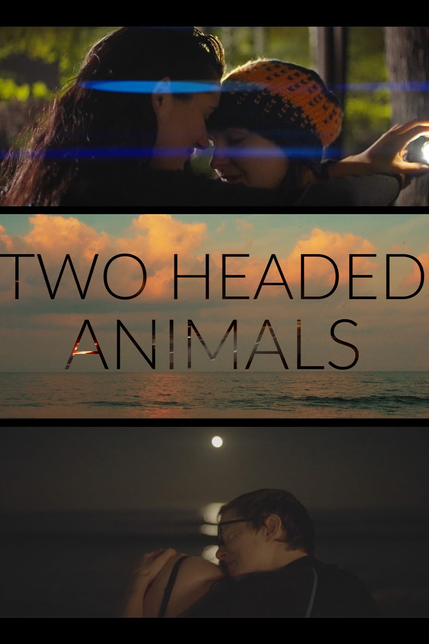 Two Headed Animals backdrop