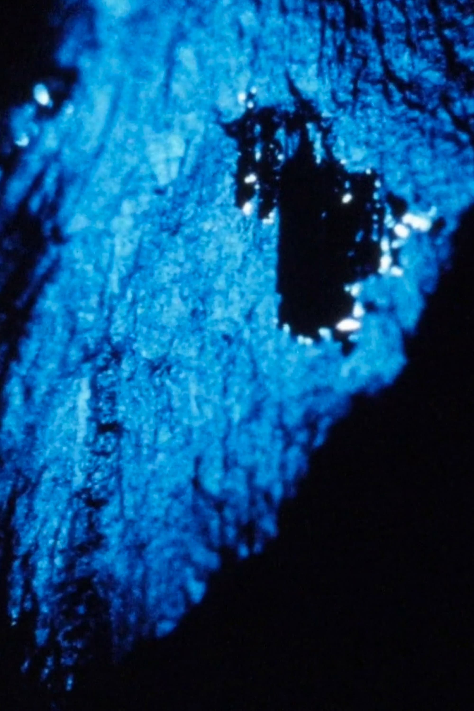 Renga backdrop
