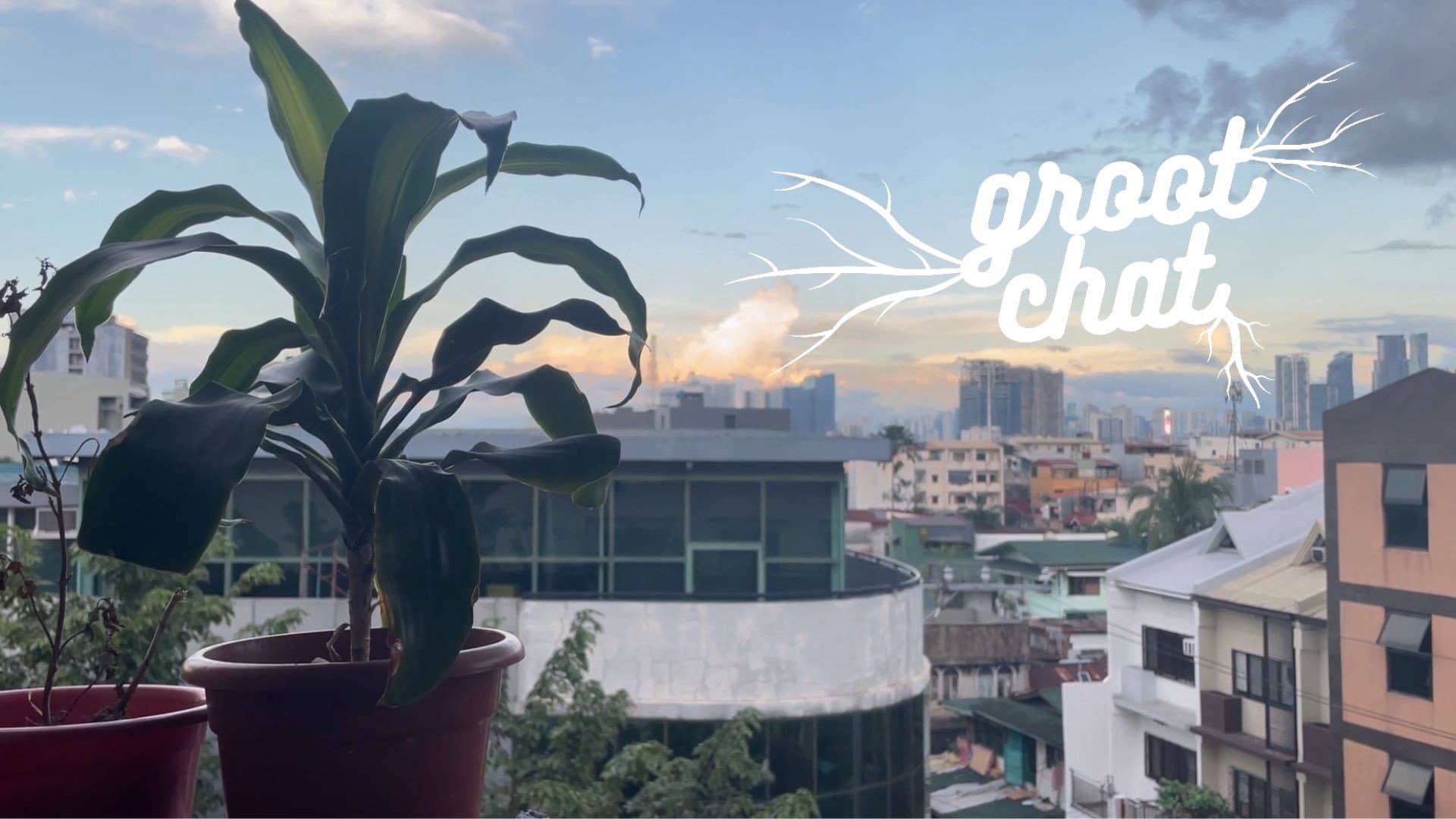 Groot Chat backdrop