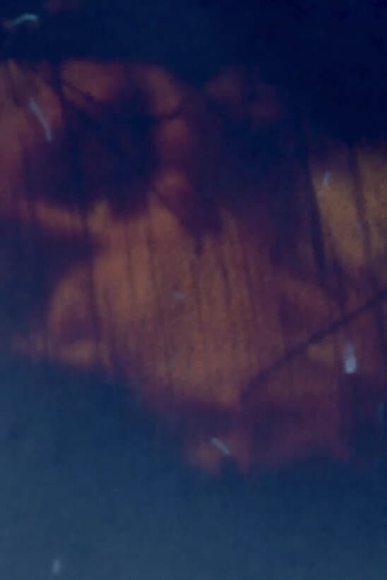 Traces backdrop