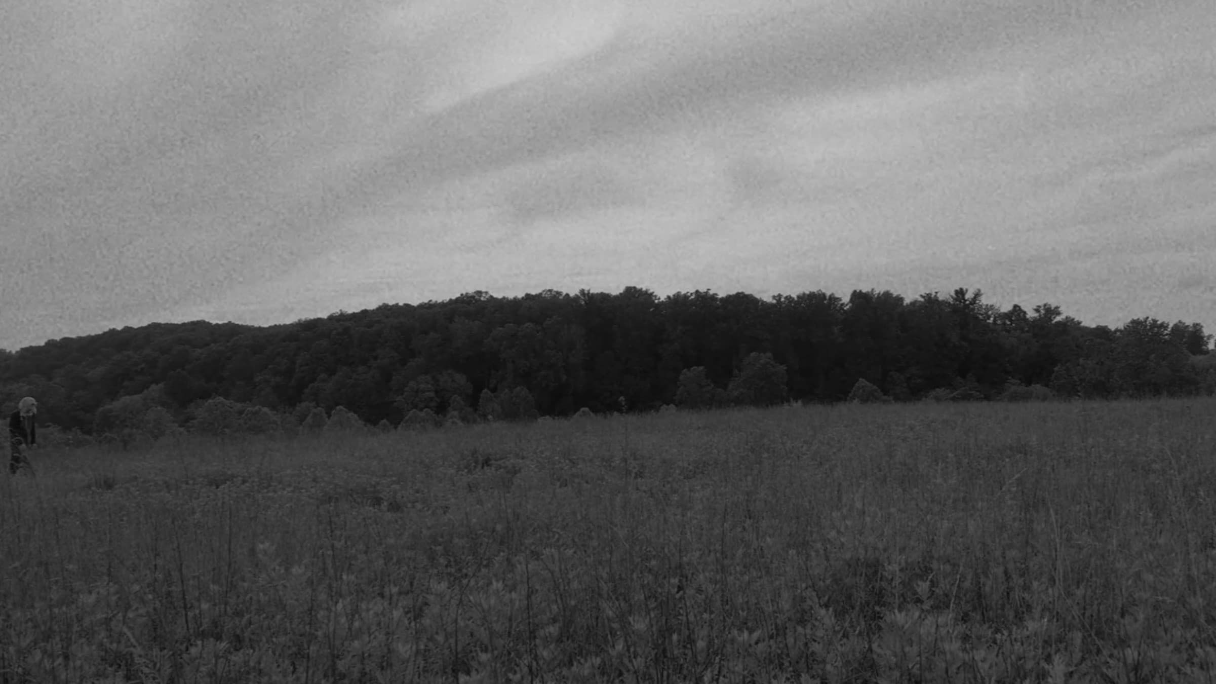 Pennsylvania Movie backdrop