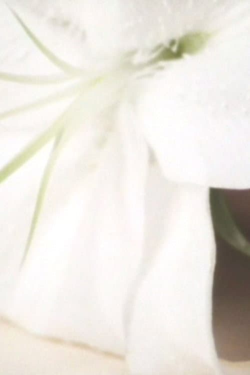 Lily in the Glass backdrop