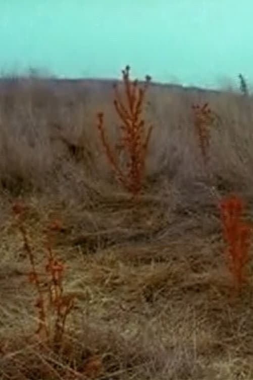 In a Disturbed Landscape backdrop