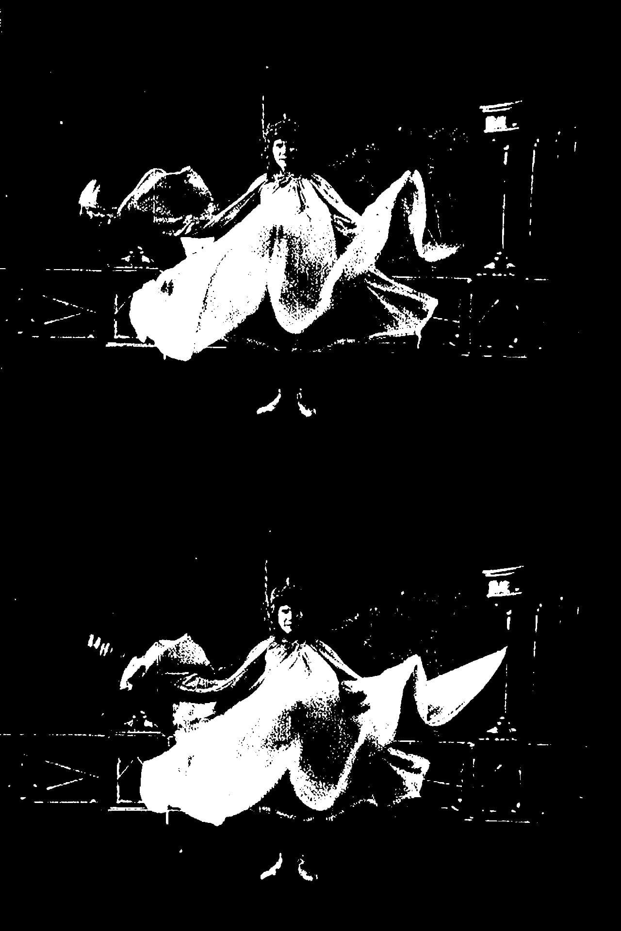 Loïe Fuller backdrop