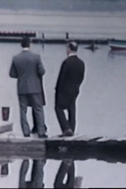 Ho fatto un film a Varese 2° backdrop