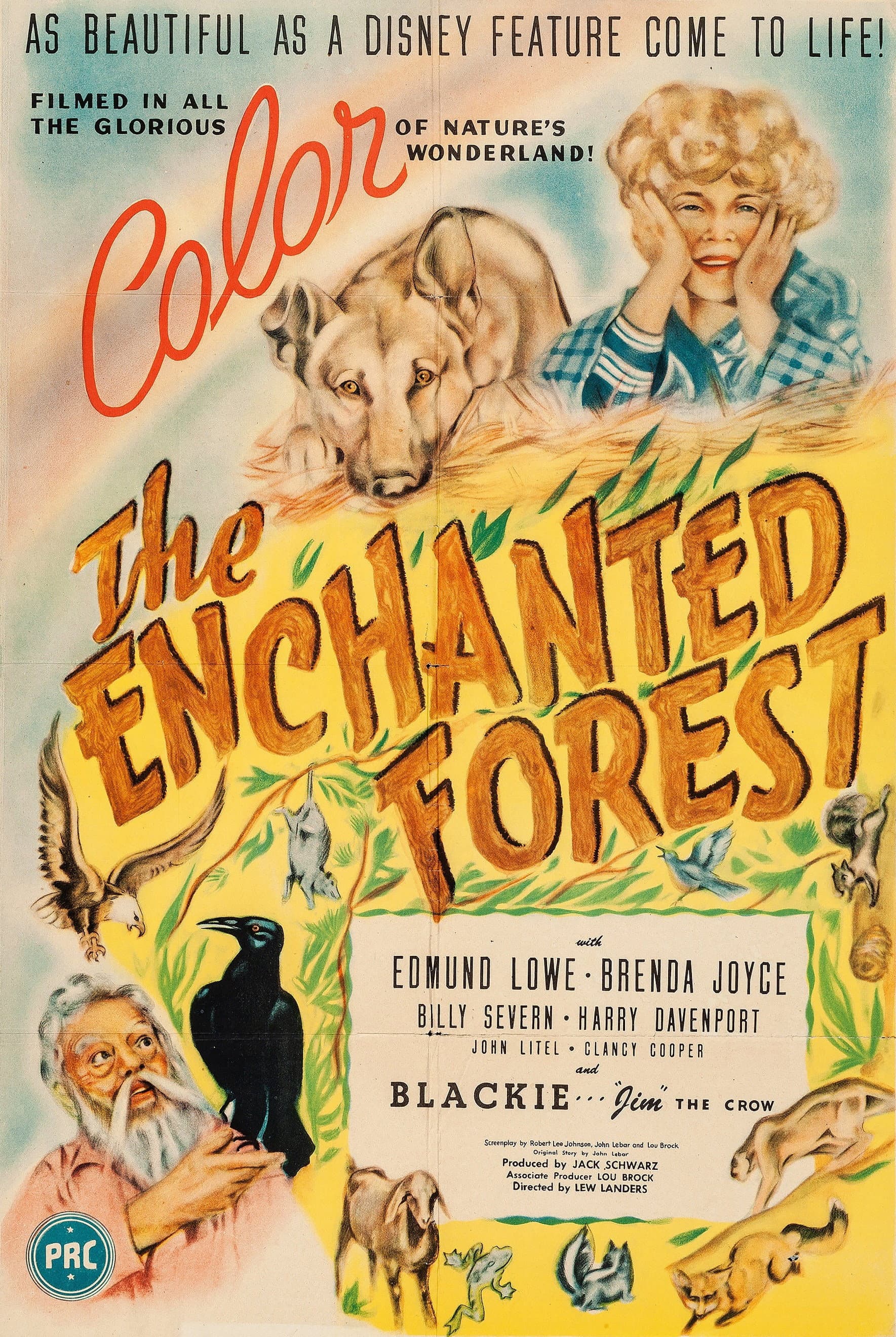 The Enchanted Forest backdrop