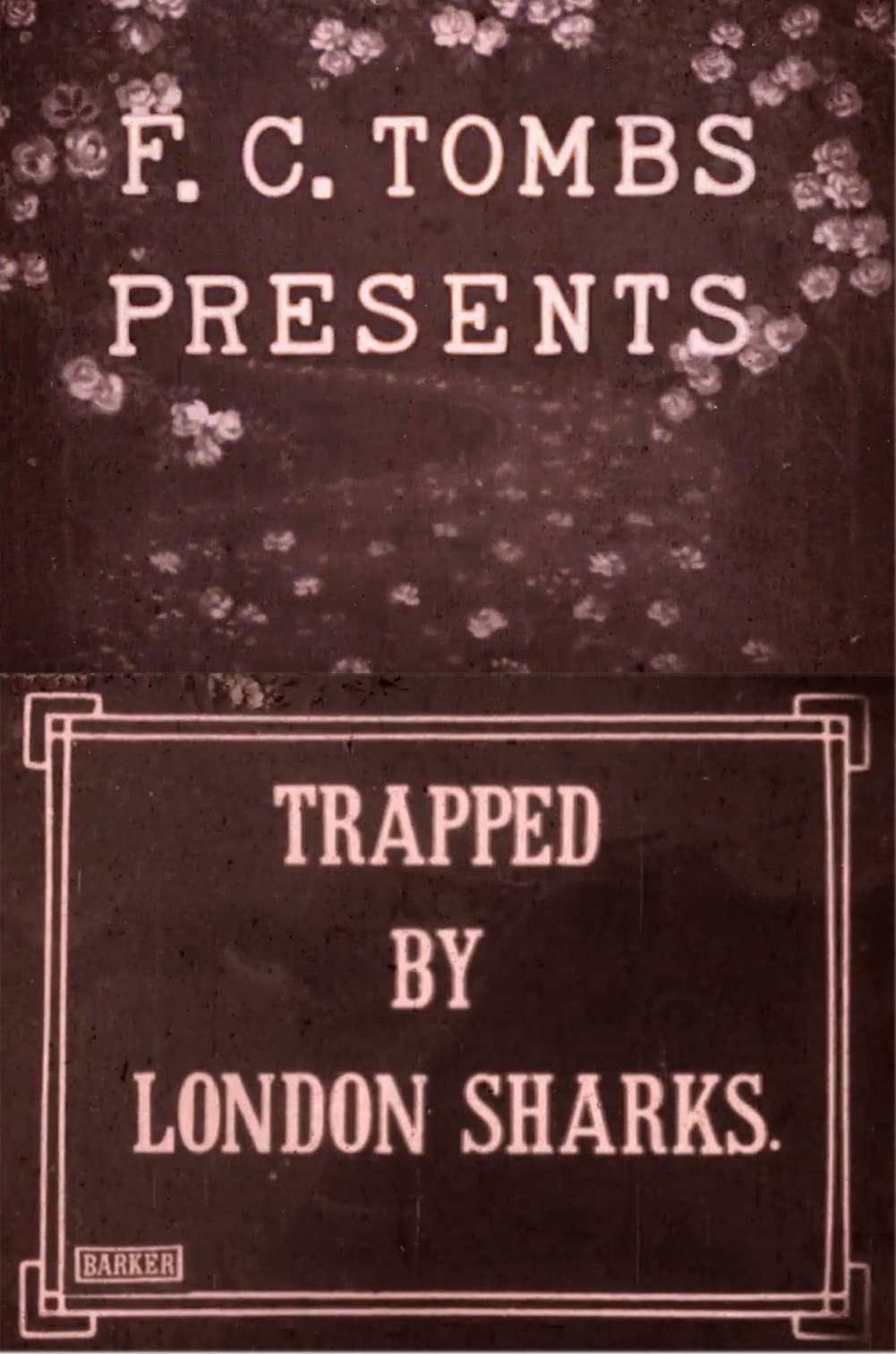 Trapped by London Sharks backdrop