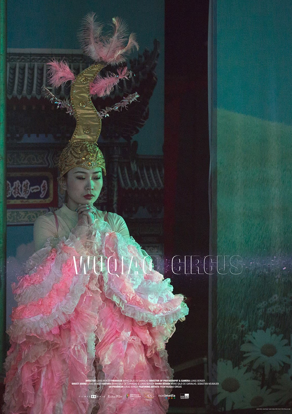 Wuqiao Circus backdrop