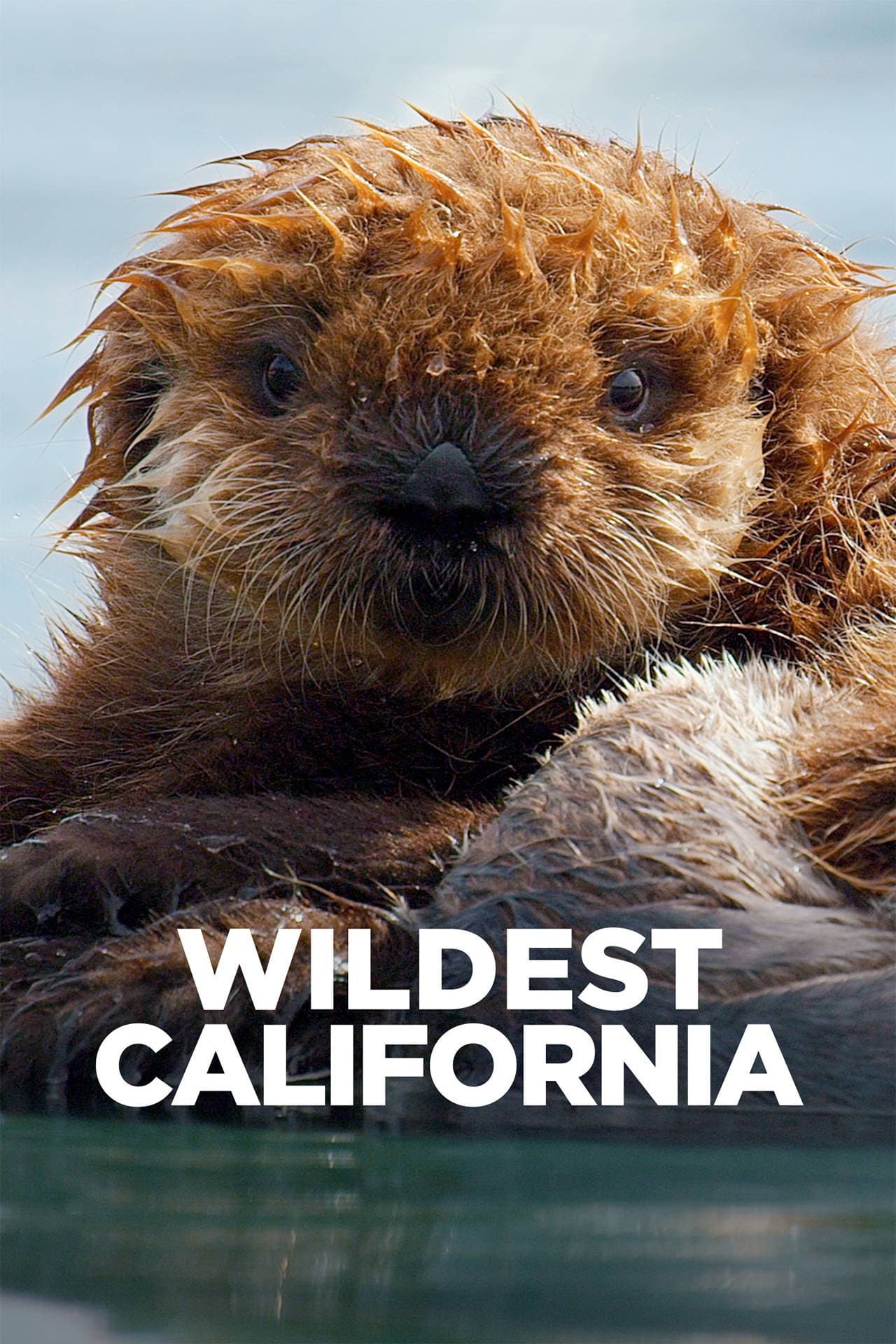 Wildest California backdrop