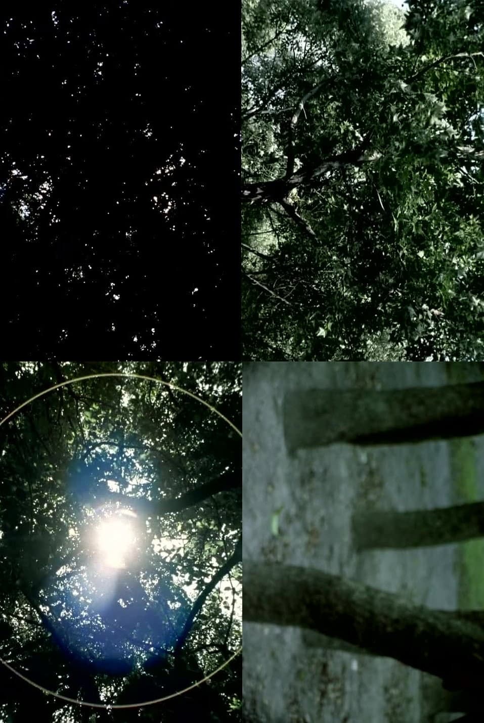 The Pursuit of What Was backdrop