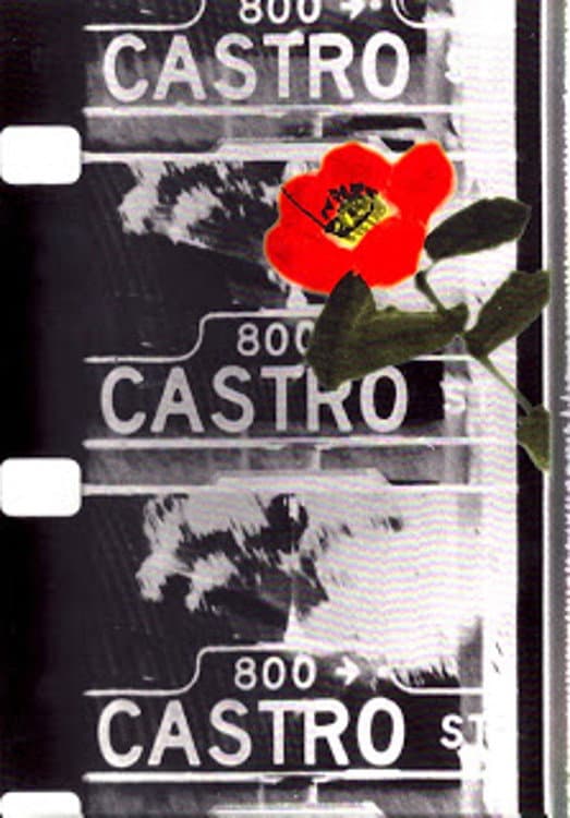 Castro Street backdrop
