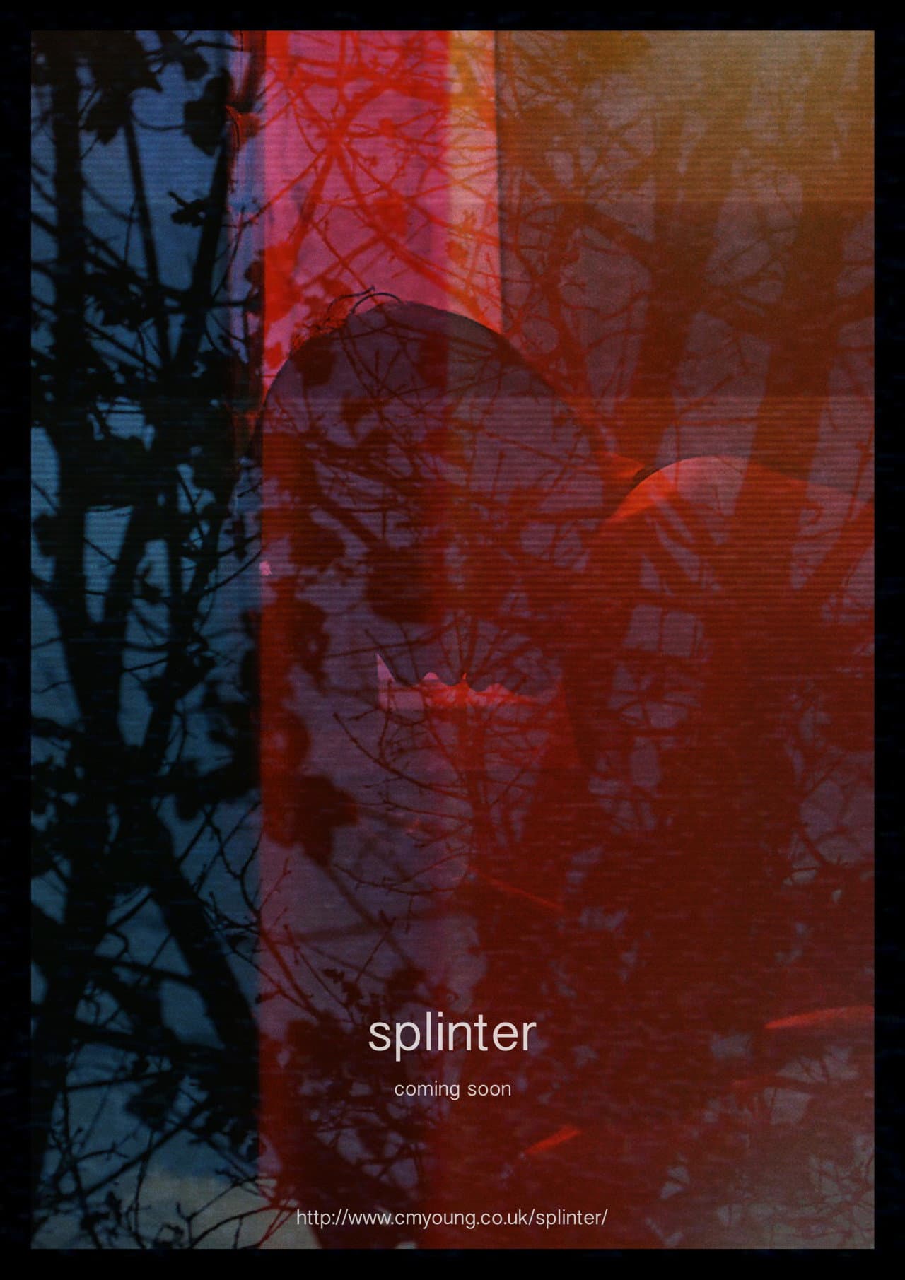 Splinter backdrop