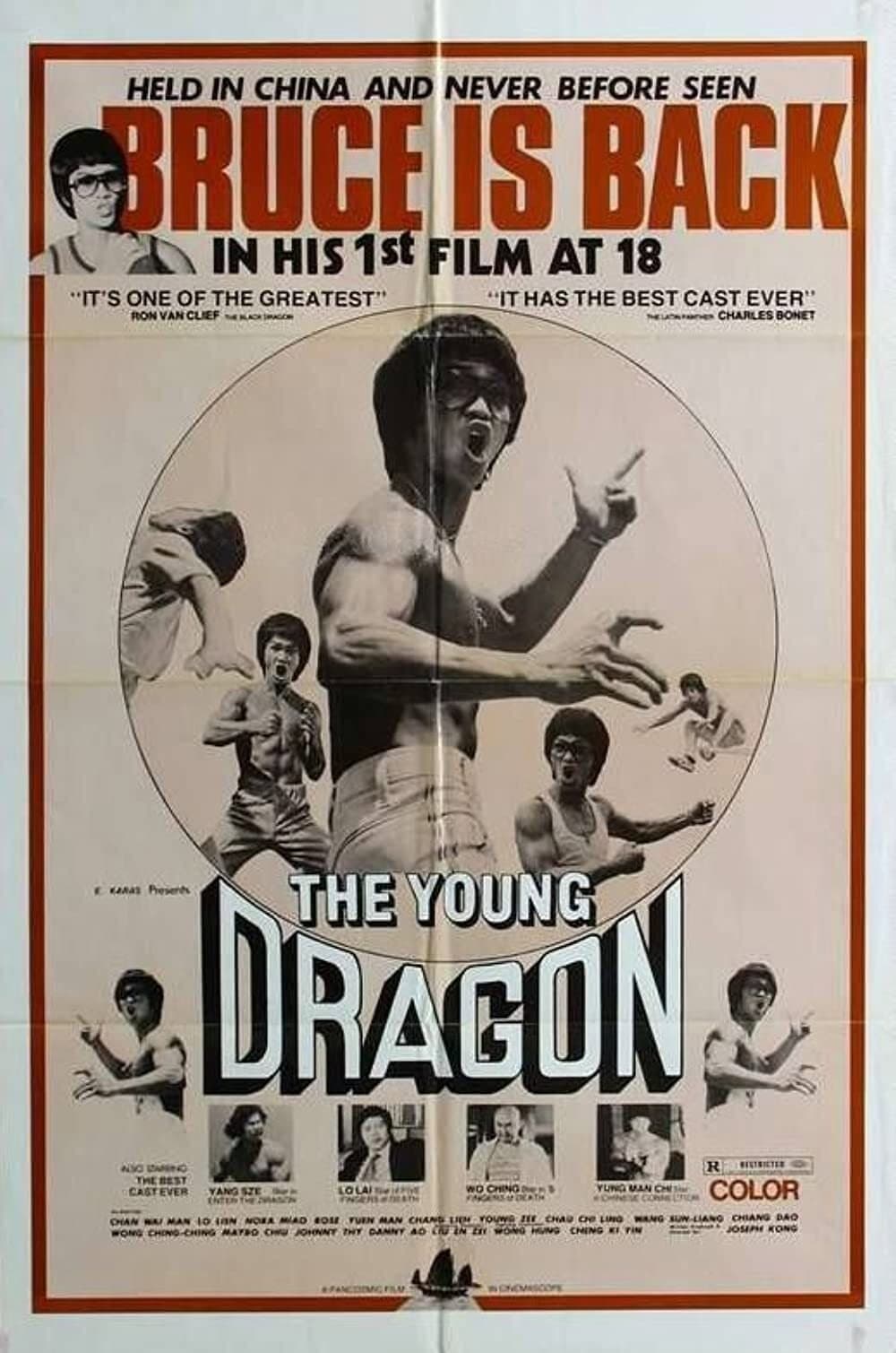 Young Dragon backdrop