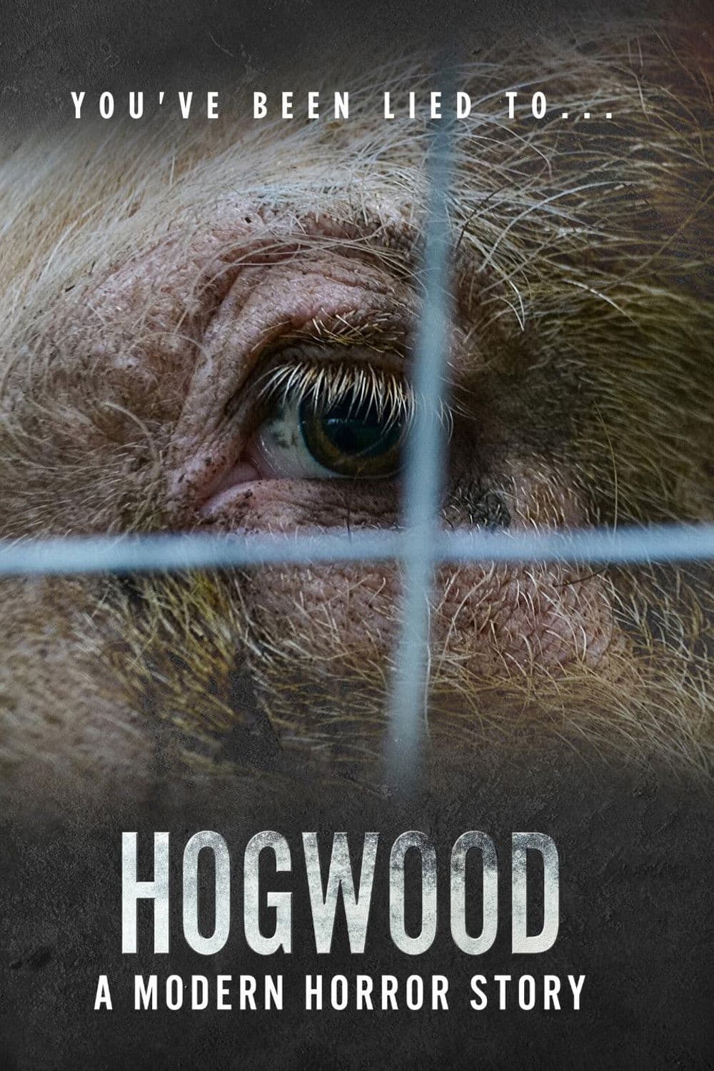 Hogwood: A Modern Horror Story backdrop