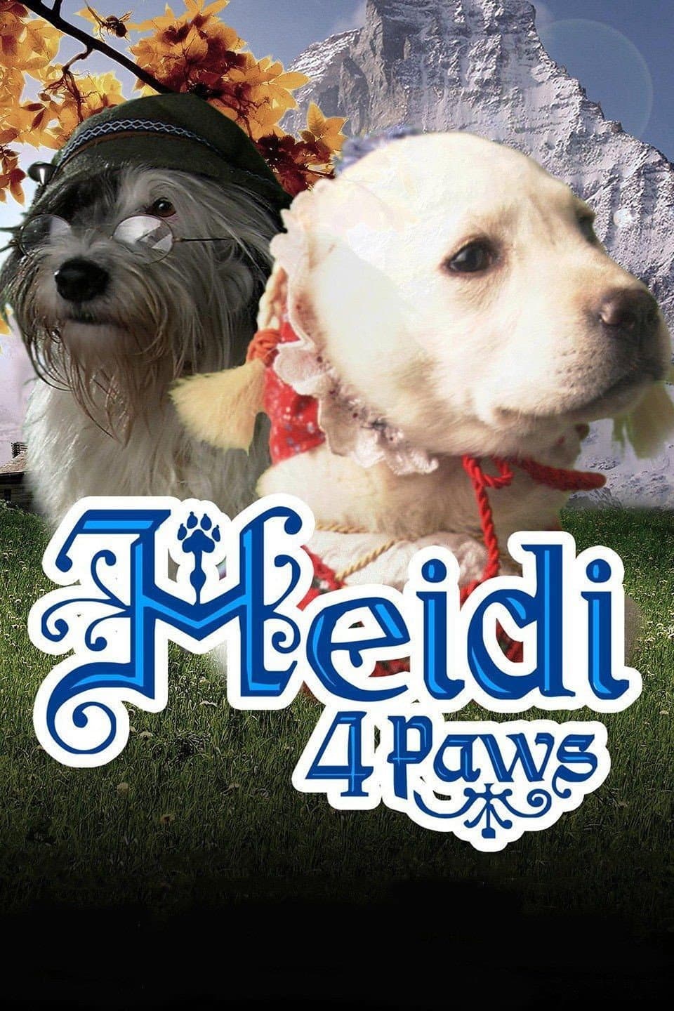 Heidi 4 Paws backdrop