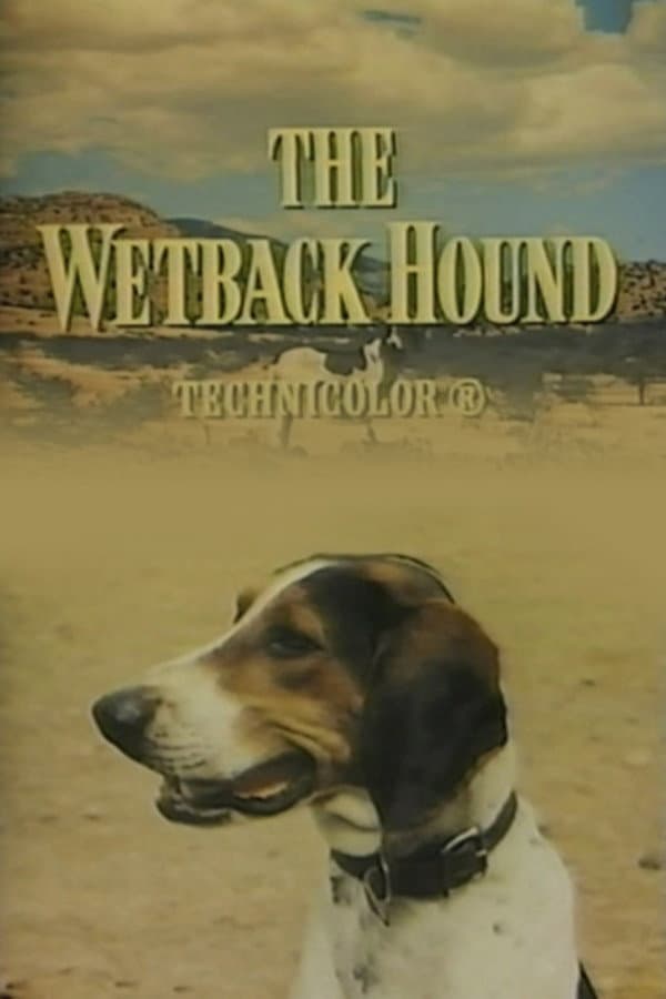 The Wetback Hound backdrop