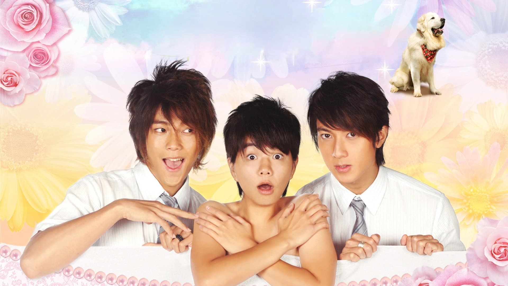 Hana Kimi backdrop