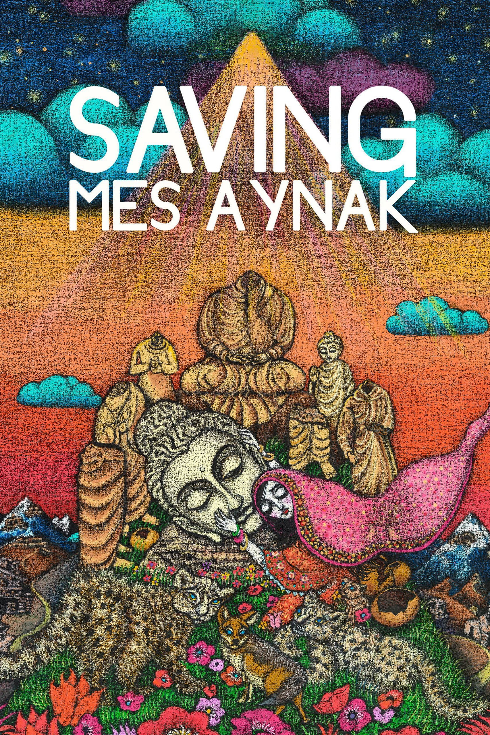 Saving Mes Aynak backdrop