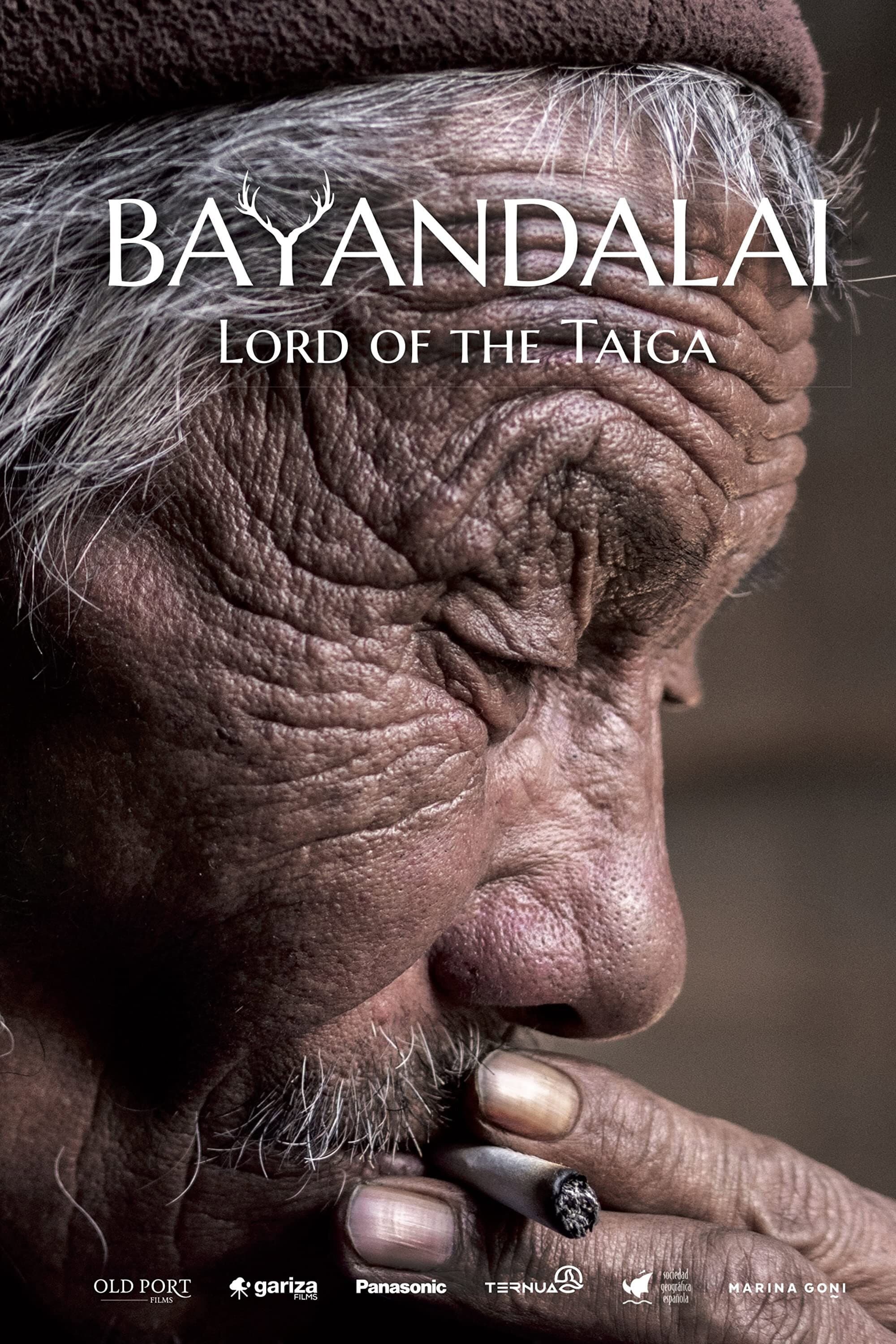Bayandalai - Lord of the Taiga backdrop