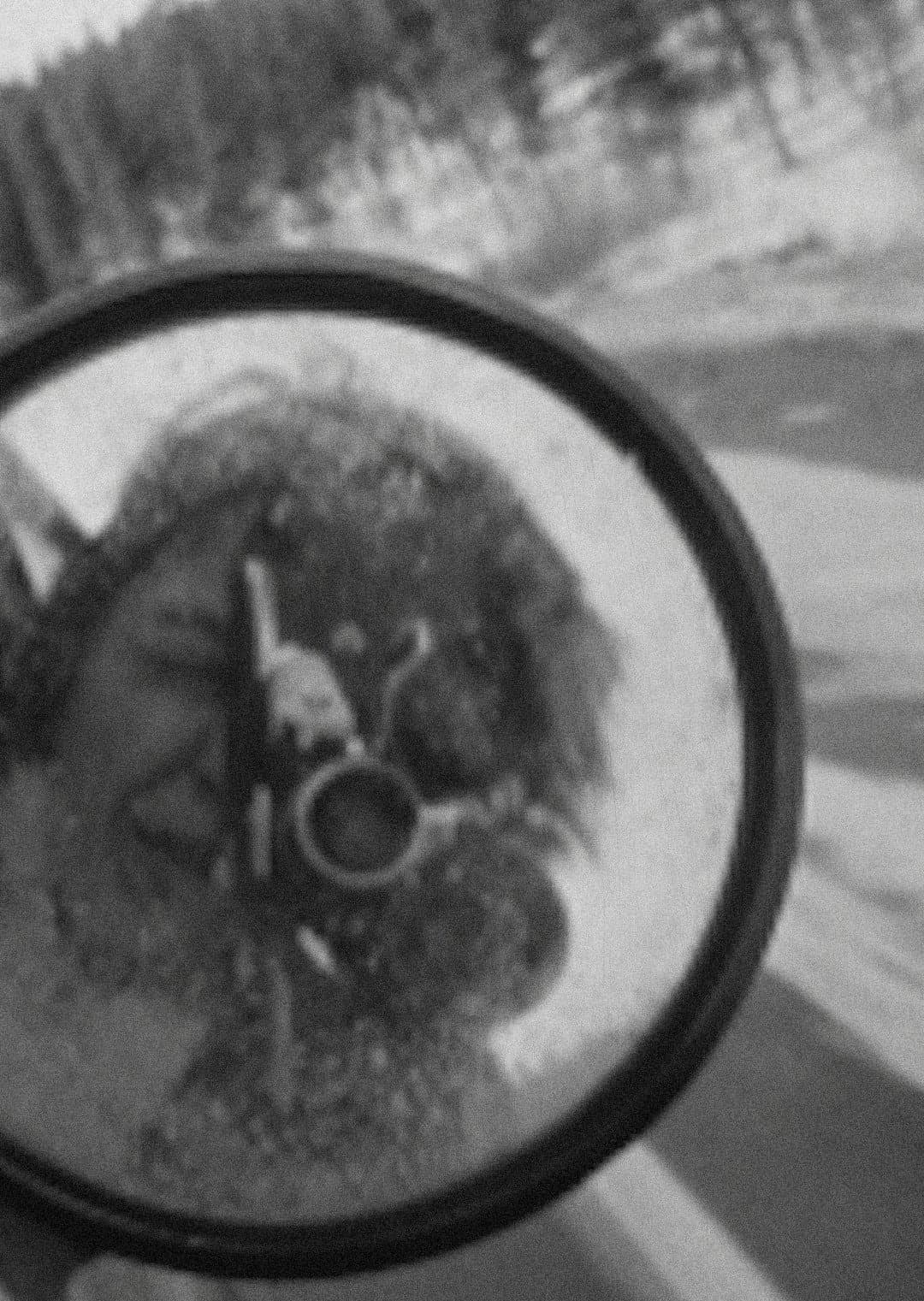 Jane Brakhage backdrop