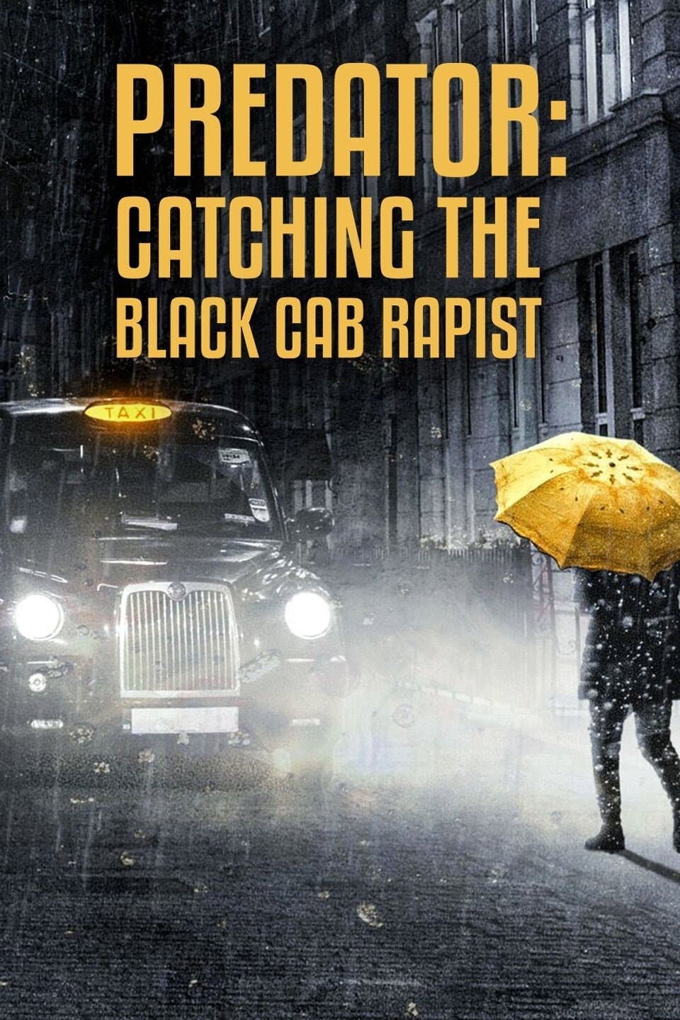 Predator: Catching The Black Cab Rapist backdrop