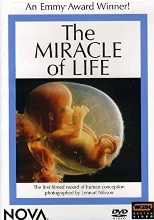 The Miracle of Life backdrop