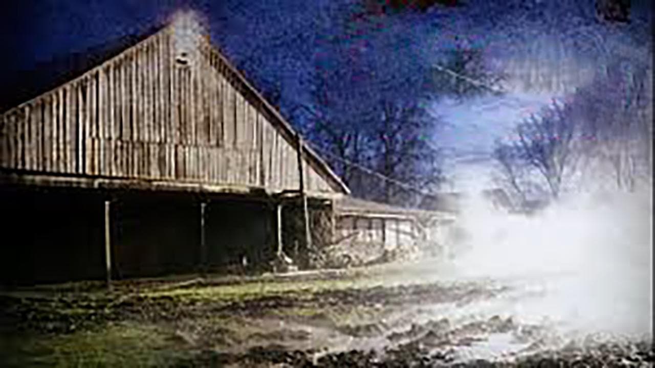 The Pig Farm backdrop