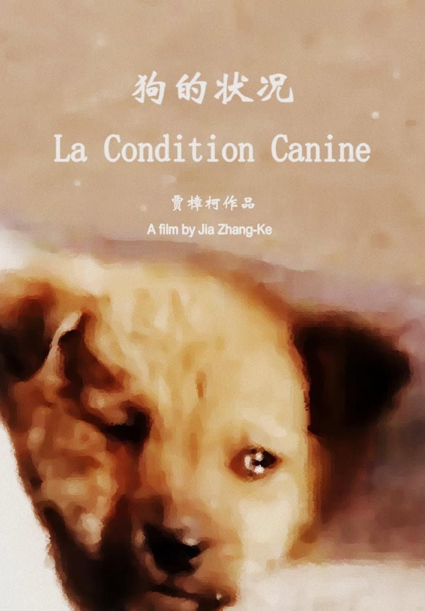 The Condition of Dogs backdrop