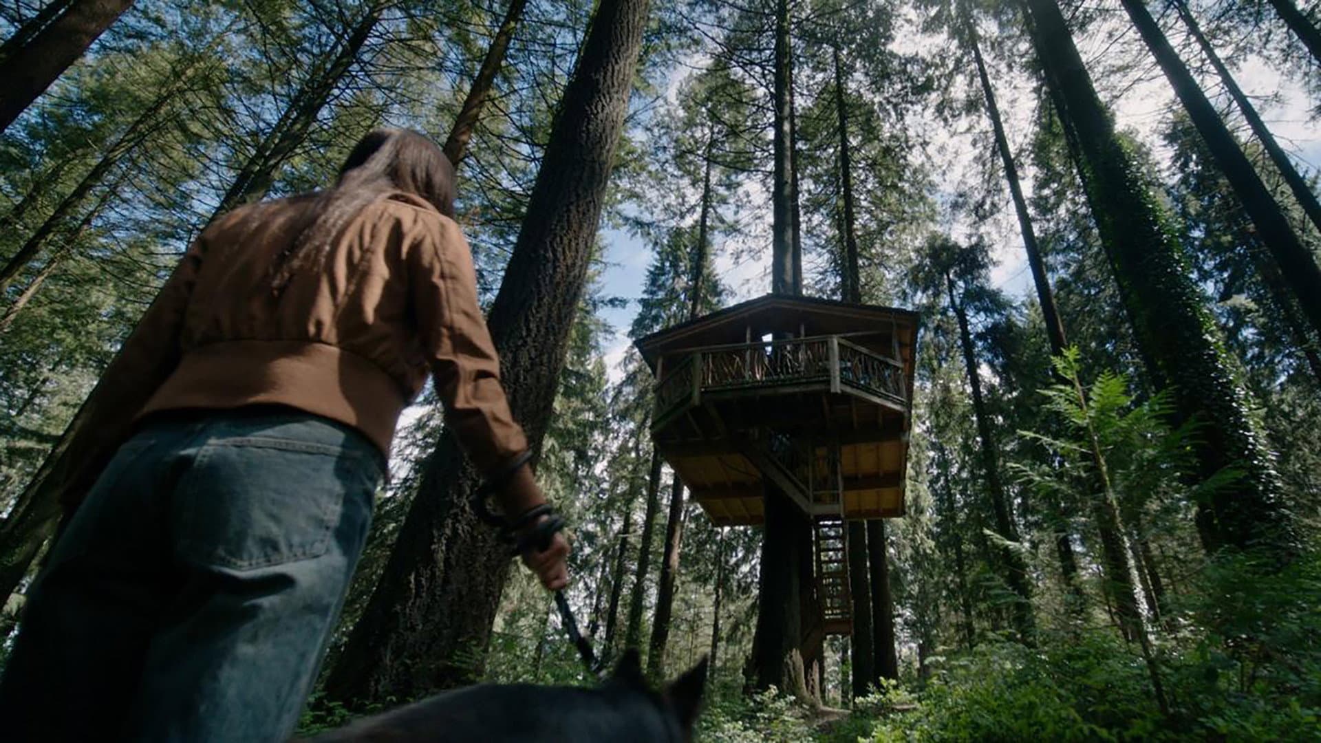 The Treehouse backdrop