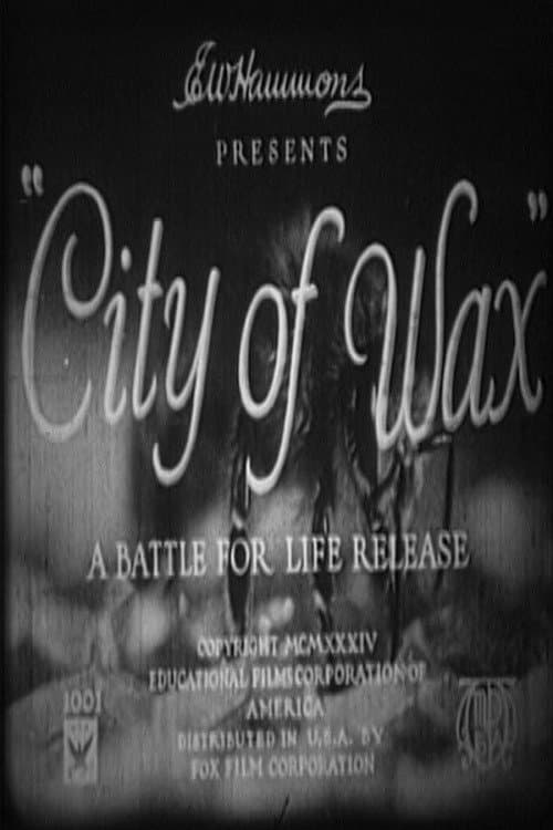 City of Wax backdrop