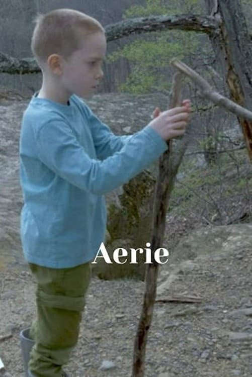 Aerie backdrop