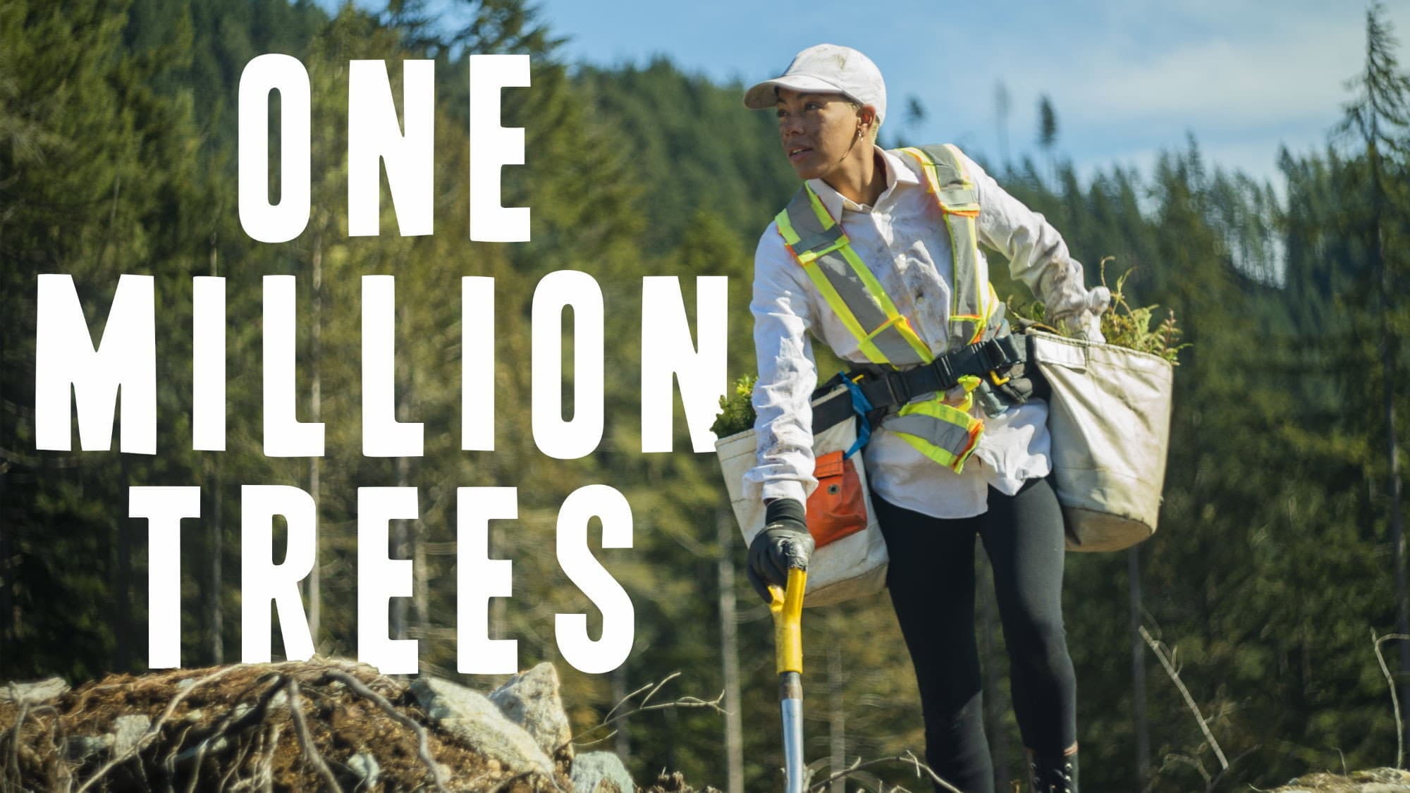One Million Trees backdrop