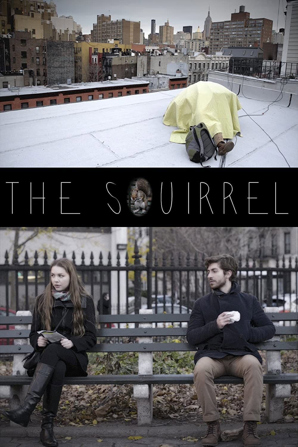 The Squirrel backdrop